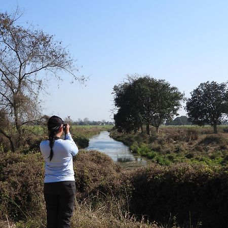 Lumbini Buddha Garden Resort Kültér fotó