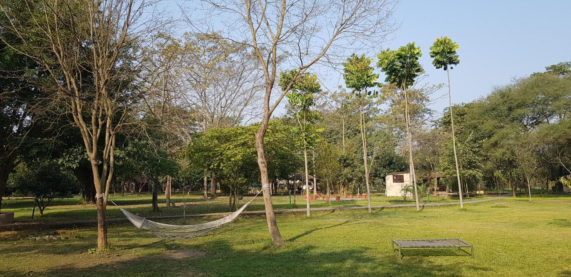 Lumbini Buddha Garden Resort Kültér fotó