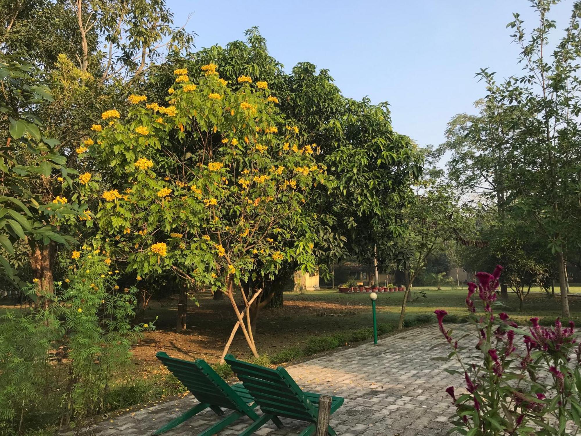 Lumbini Buddha Garden Resort Kültér fotó