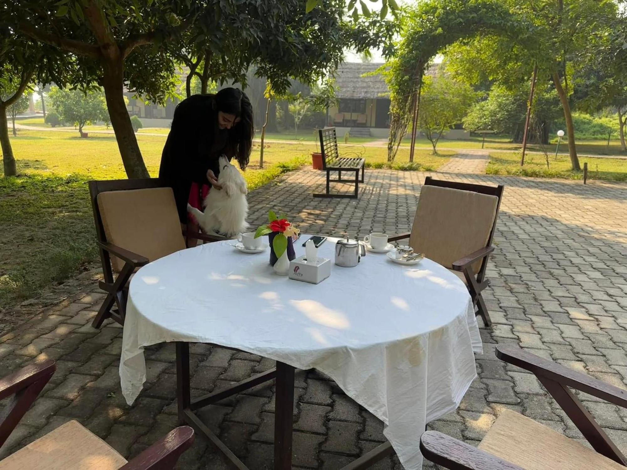 Lumbini Buddha Garden Resort Kültér fotó