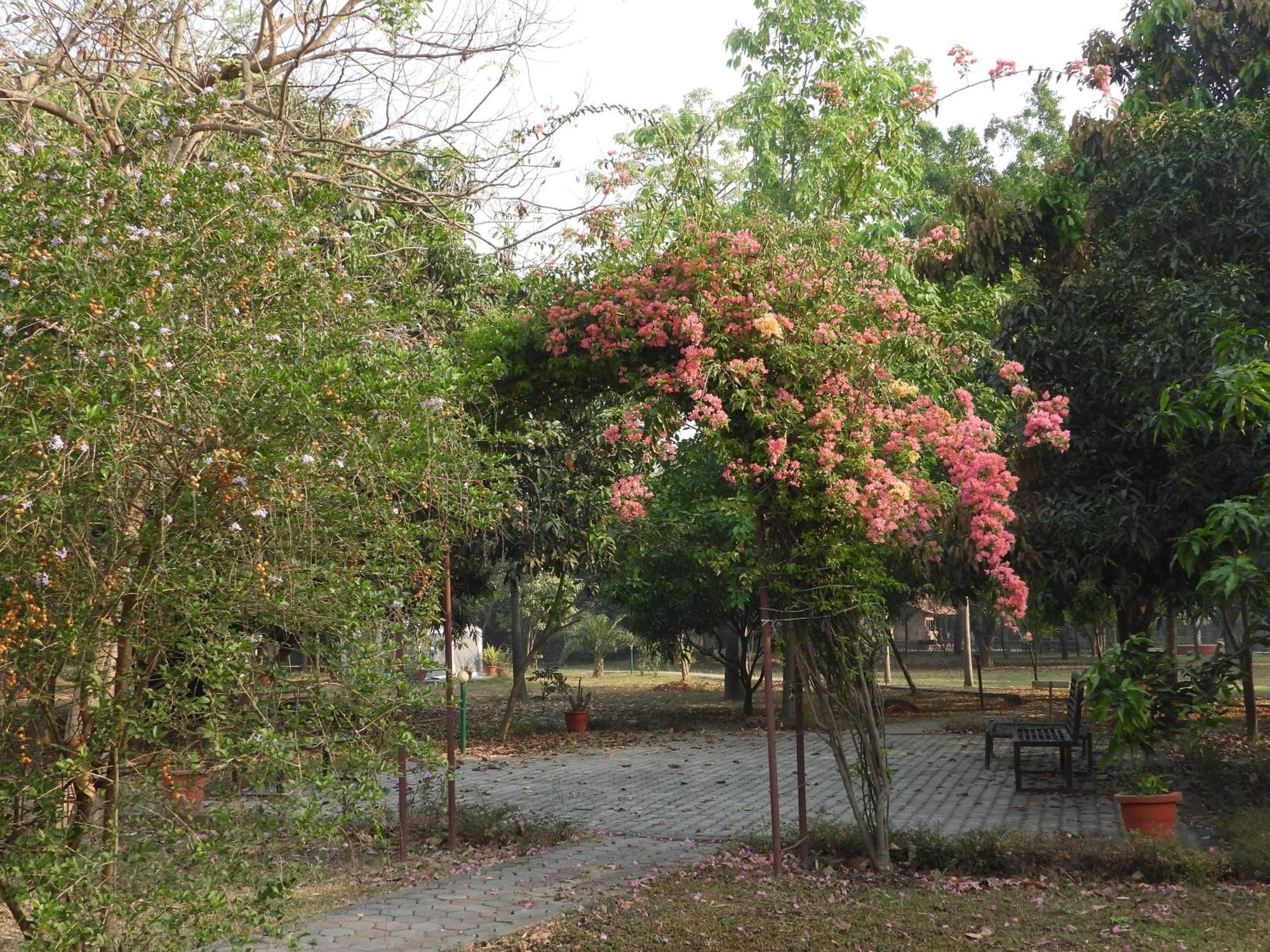 Lumbini Buddha Garden Resort Kültér fotó